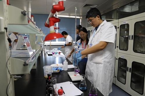 臨沂市舉辦2024年食品安全檢驗(yàn)檢測(cè)技術(shù)技能競(jìng)賽 助推生物基材料技術(shù)研發(fā)與高質(zhì)量發(fā)展